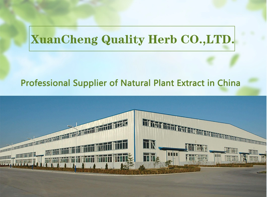 Natural Plant Extract Goji Extract