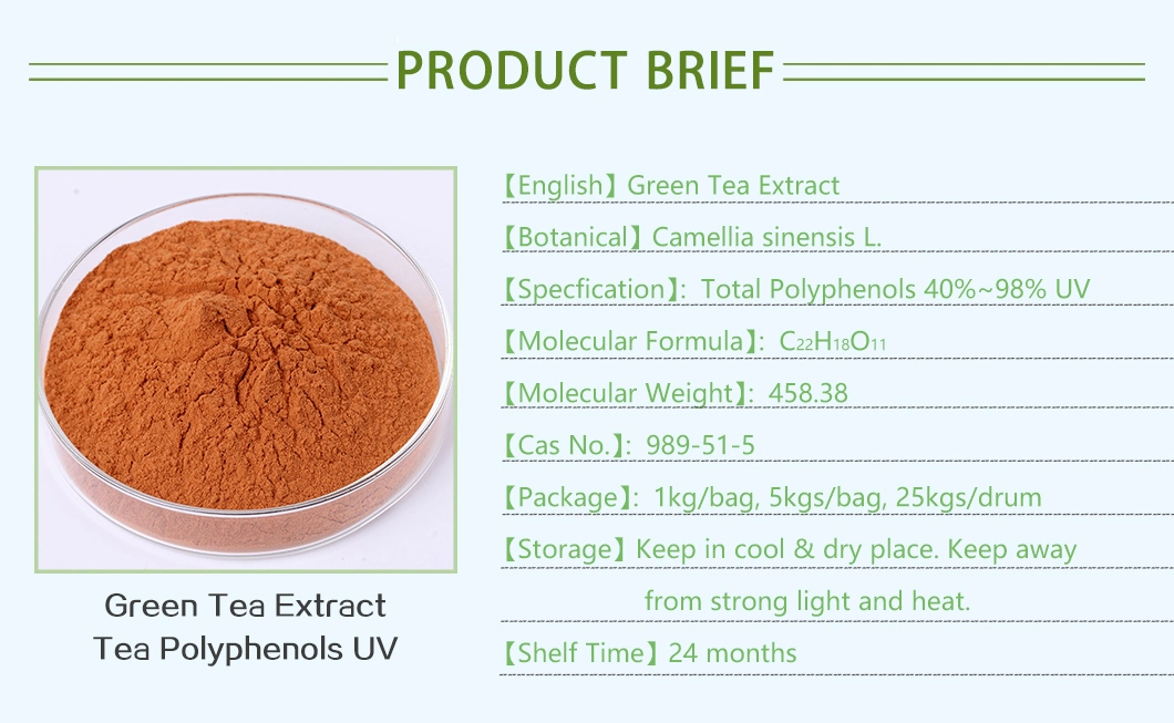 100% Natural Food Grade 98% Tea Polyphenols UV EGCG Green Tea Extract Herbal Plant with Free Sample