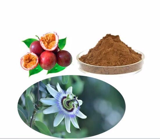 Maßgeschneiderter günstiger Vitexin1%~5% Passiflora Incarnata-Extrakt